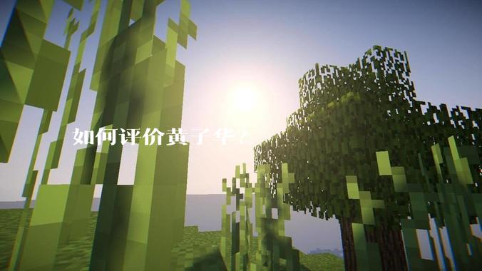 如何评价黄子华？